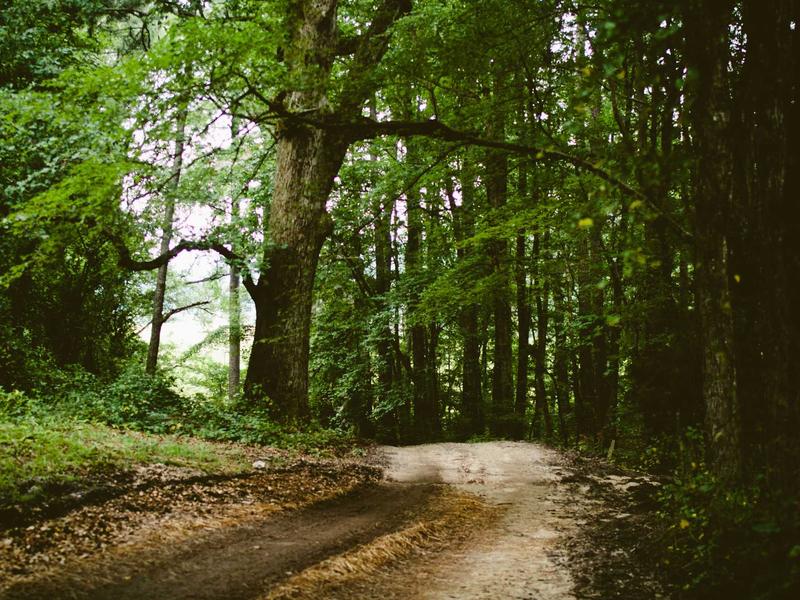 sudoku expert screenshot 2